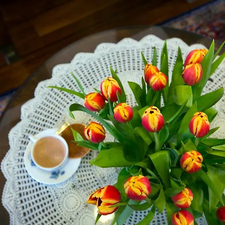 Wiechmann Szálloda 2*